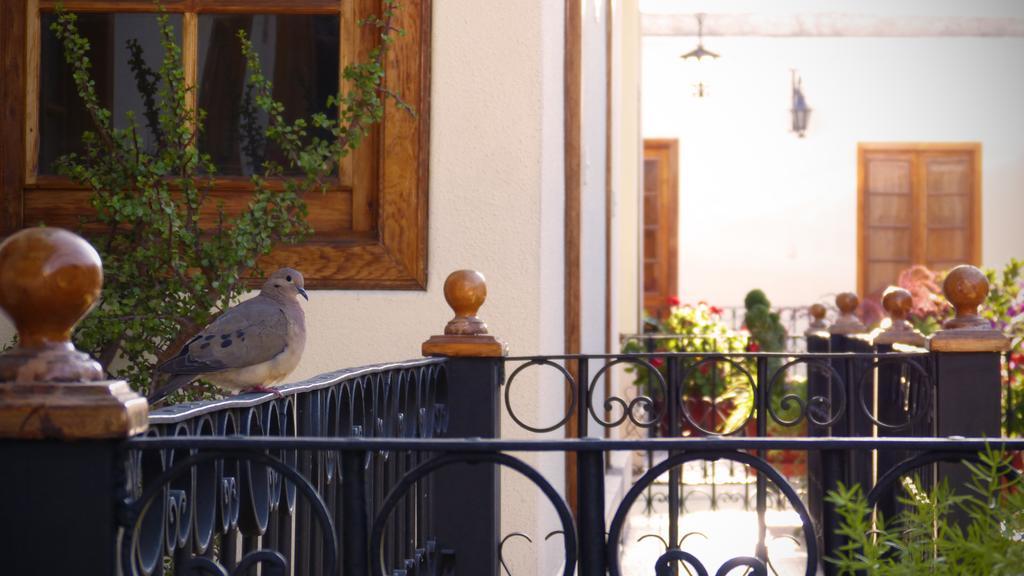 Majestad Hotel Boutique Arequipa Exterior foto